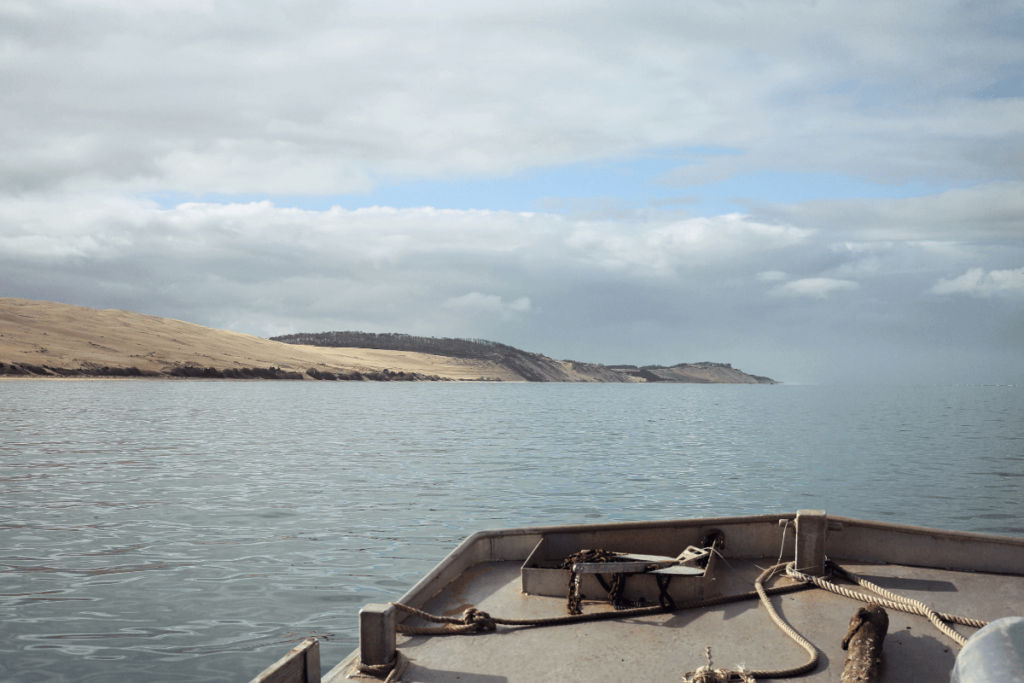 Fais comme l'oiseau - Sans titre 2023 03 28T122748.796 - Bassin d'Arcachon