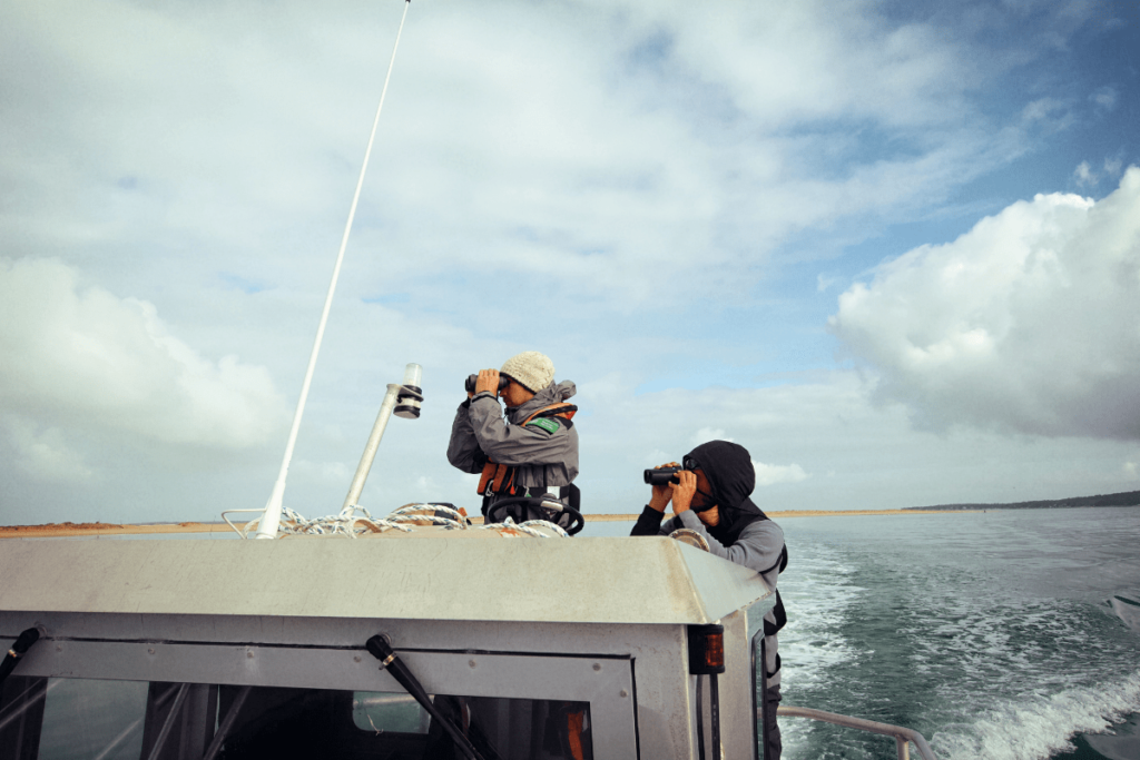 Fais comme l'oiseau - Sans titre 2023 03 28T123152.700 - Bassin d'Arcachon