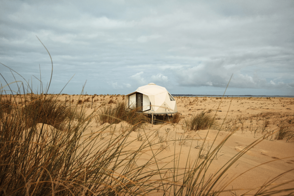 Fais comme l'oiseau - Sans titre 2023 03 28T135209.809 - Bassin d'Arcachon