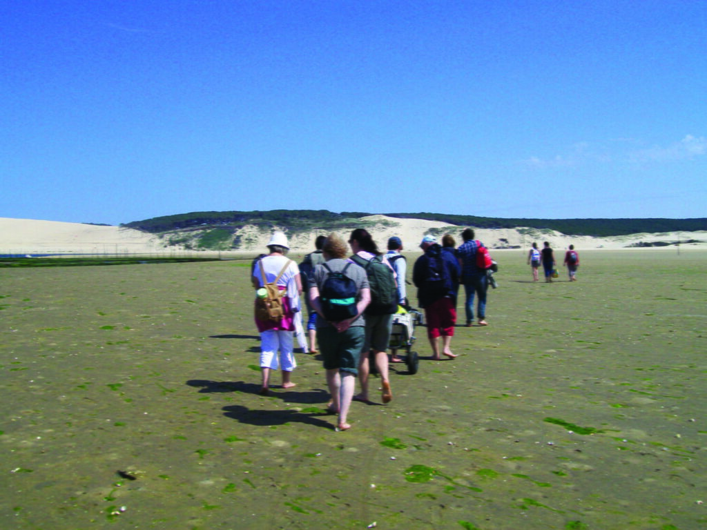 Le Banc d’Arguin - Unknown - Bassin d'Arcachon