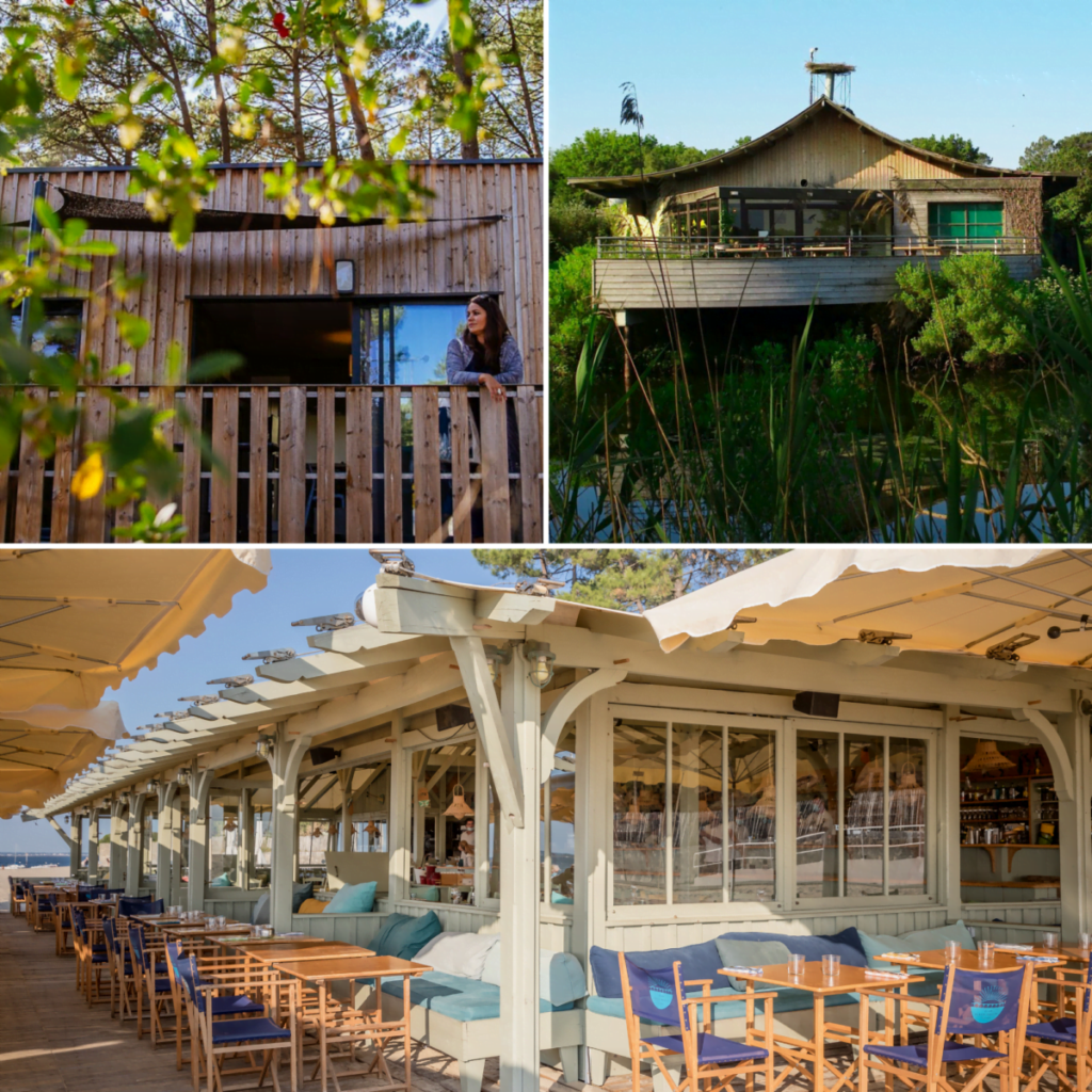 Le bois, fierté du Bassin d'Arcachon - Design sans titre 5 - Bassin d'Arcachon