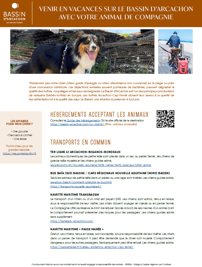 Venir sur le Bassin avec votre animal