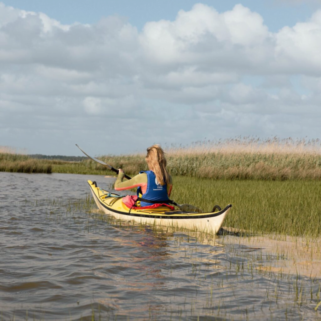 Que faire quand il pleut ? - Design sans titre 2023 12 08T104740.989 - Bassin d'Arcachon