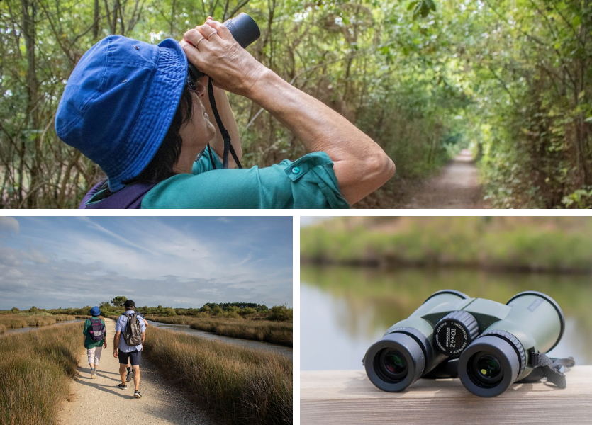 Bassin d'Arcachon : à vol d'oiseaux ! - Design sans titre 2023 11 30T113634.927 - Bassin d'Arcachon