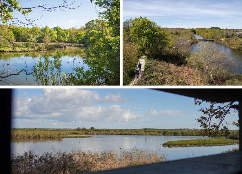 Bassin d'Arcachon : à vol d'oiseaux ! - Design sans titre 2023 11 30T121716.256 - Bassin d'Arcachon