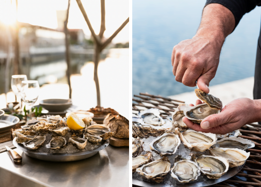 Un repas de fête façon Bassin d'Arcachon - Design sans titre 2023 12 06T152659.078 - Bassin d'Arcachon