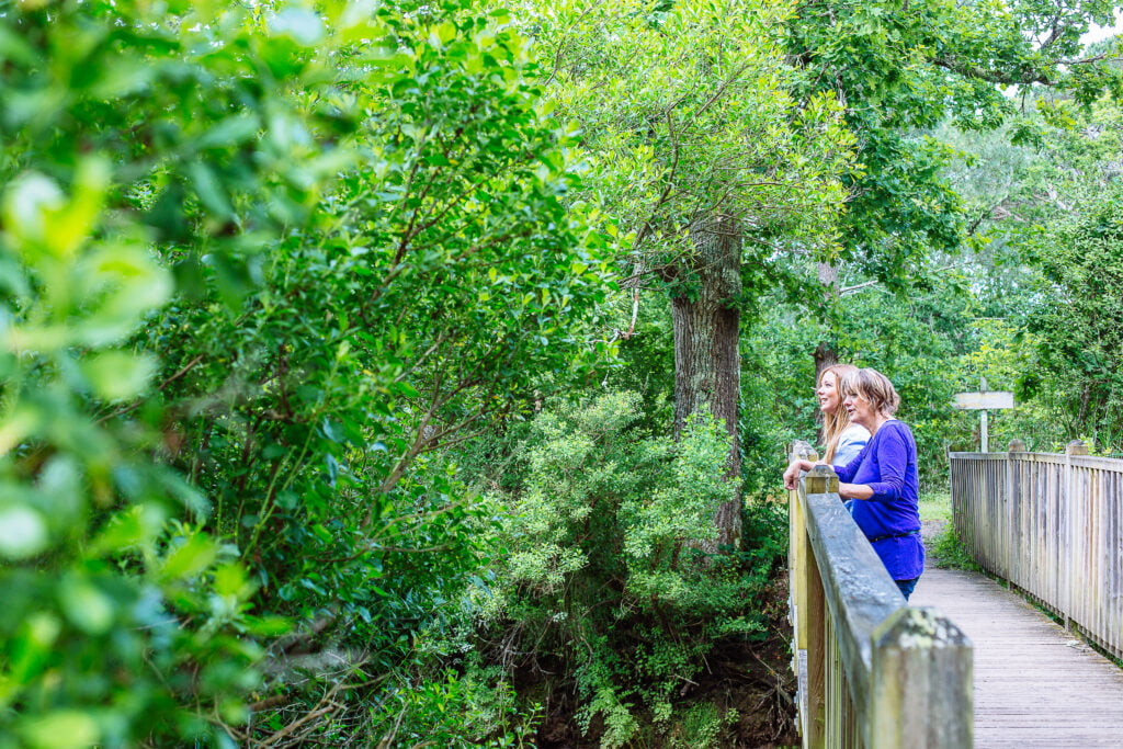 Bassin d&rsquo;Arcachon : cap sur un avenir vert !