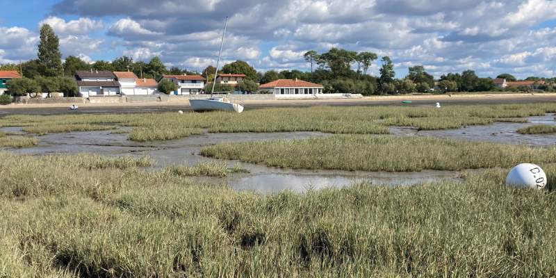 Mes vacances engagées sur le Bassin d'Arcachon - Design sans titre 2025 01 17T091123.290 - Bassin d'Arcachon