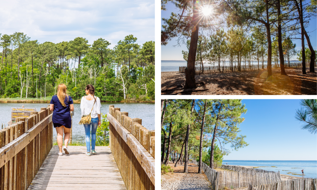 Photo d'illustration des paysages de St Brices Les Quinconces