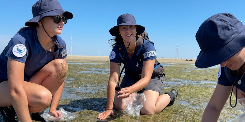 Mes vacances engagées sur le Bassin d'Arcachon - Image collecte graine zosteres 1 - Bassin d'Arcachon