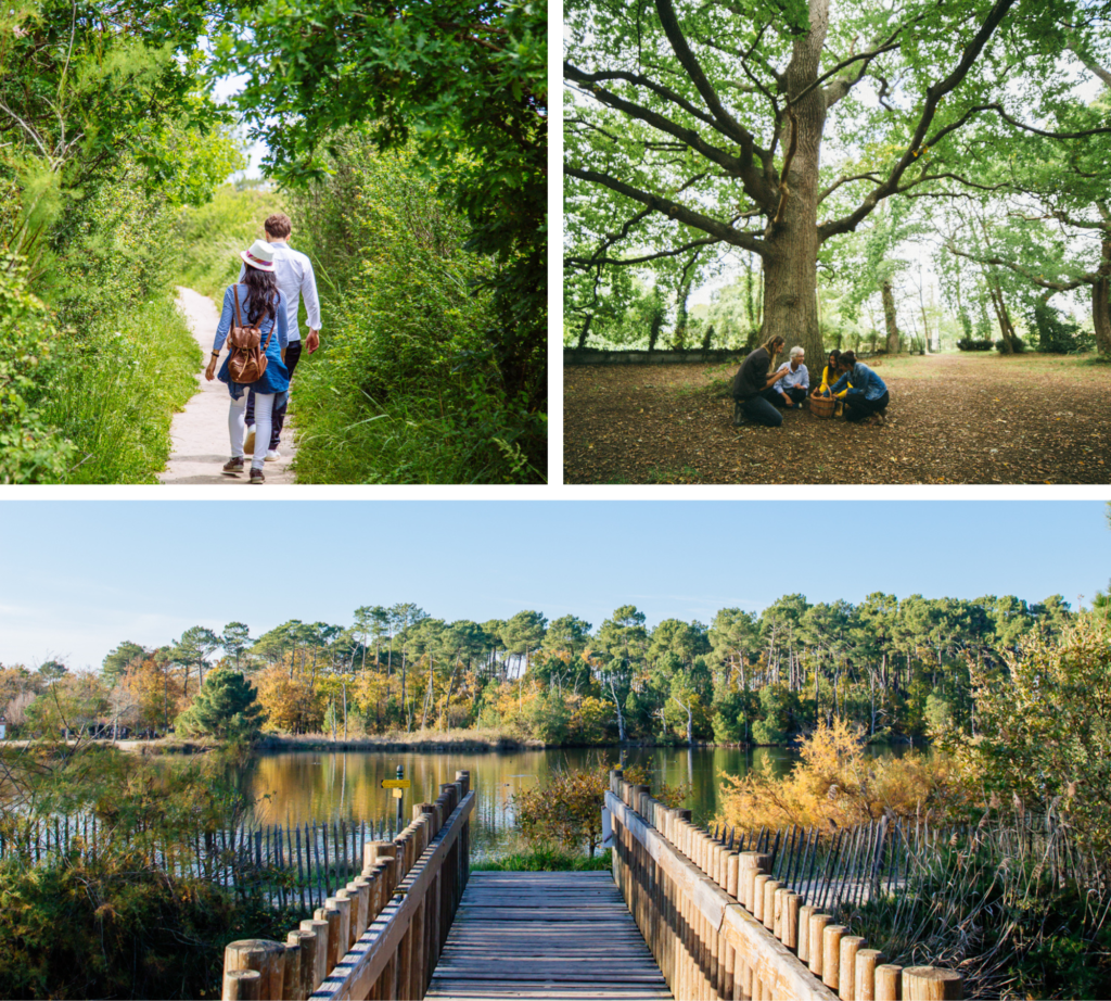 Le Tour du Monde en 80 km... sans quitter le Bassin ! - Visuels Ares - Bassin d'Arcachon