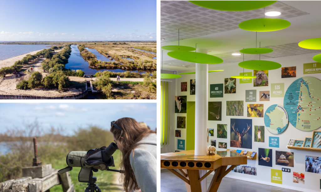 Le Tour du monde en 80 km... en tribu ! - Design sans titre 2025 02 12T154340.398 - Bassin d'Arcachon